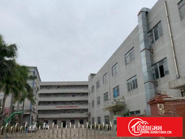 桥头新出标准独院厂房一万平方，工业用地，周围无居民