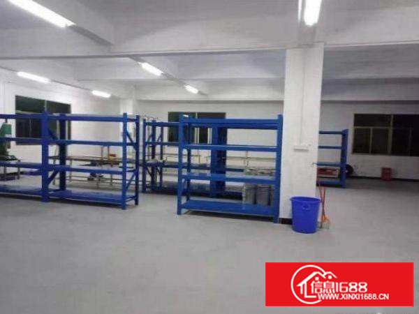 石排水贝一楼新出带装修标准厂房500平出租，无公摊