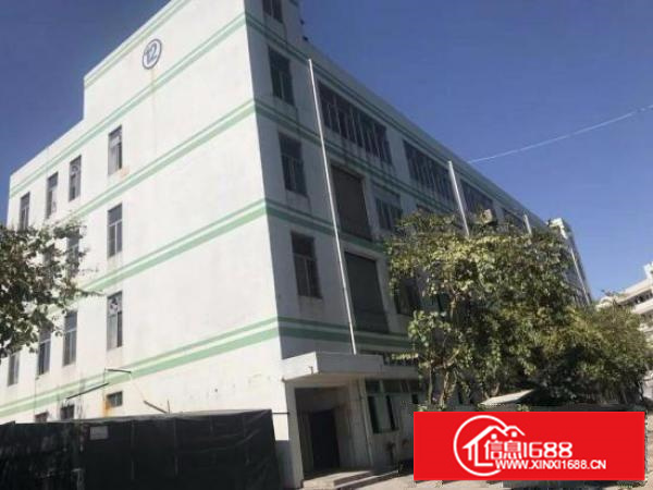 横岗主干道边新出独院厂房6400平米厂房招租