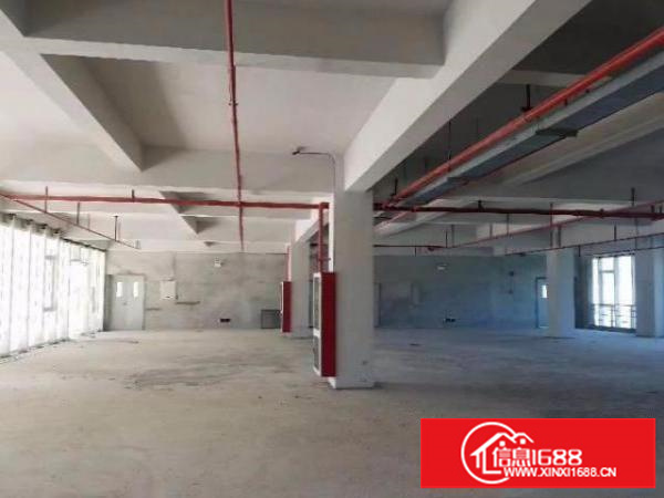 木棉湾地铁站新出电商园二楼300平出租;价格便宜