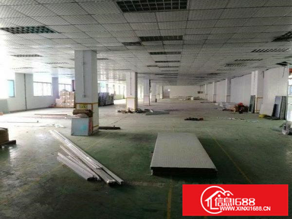 松岗碧头1500平精装厂房出租，公摊面积小，实图