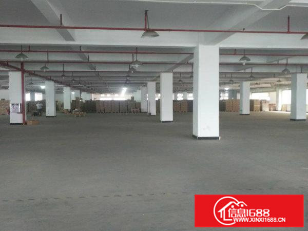 茶山新出首付5成按揭10年双证齐50年产权厂房出售