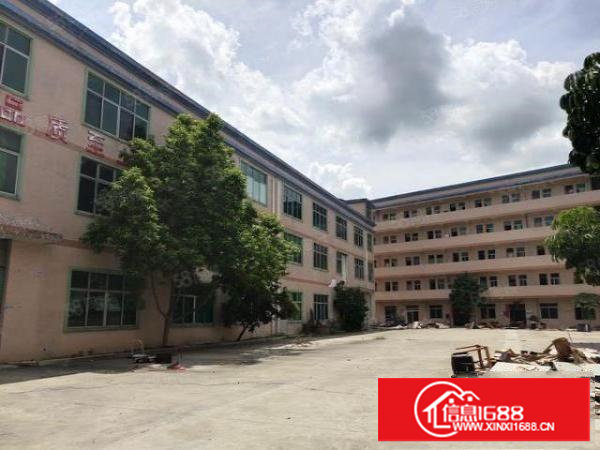 樟洋二楼带精装修1000平方出租