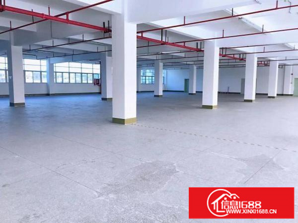 横岗大康170平和230平厂房仓库出租,16元一平