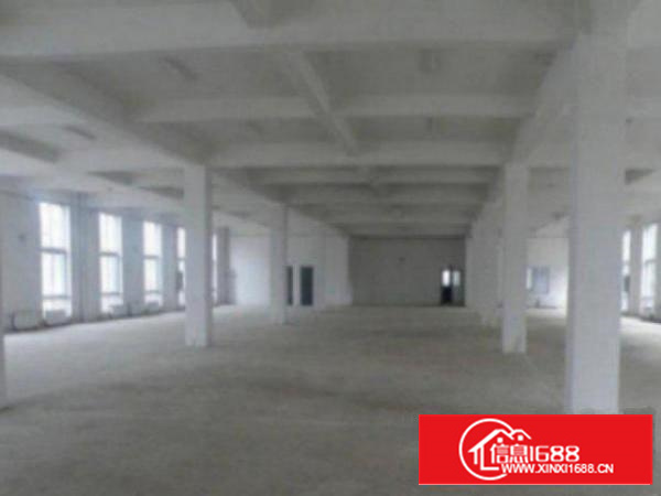 万江10001500平方1出租