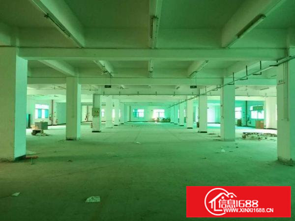 凤岗好招工厂房招租11500平方主干道上近深圳可分租