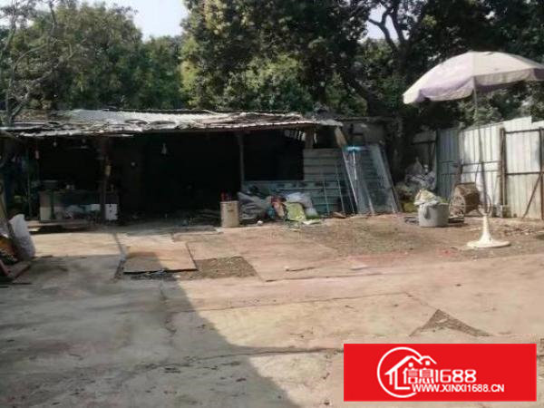 新出独门独院，交通便利，大车可进，租金便宜！