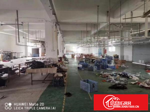 塘尾一二楼200/500/2000平米办公仓库