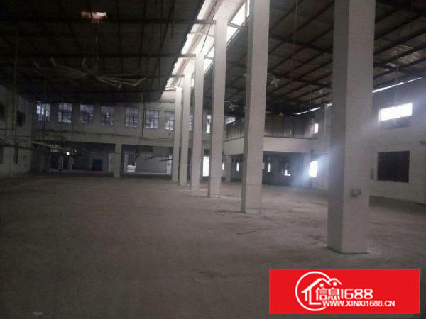 清溪新出原房东单一层砖墙到顶滴水8米钢构1200平方出租