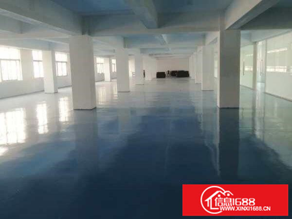 布吉街新出一万平，租金20一平方，可以分租