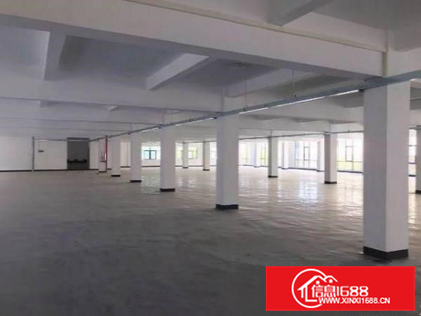 园洲独门独院花园式标准厂房出租6850带精装修可办环评