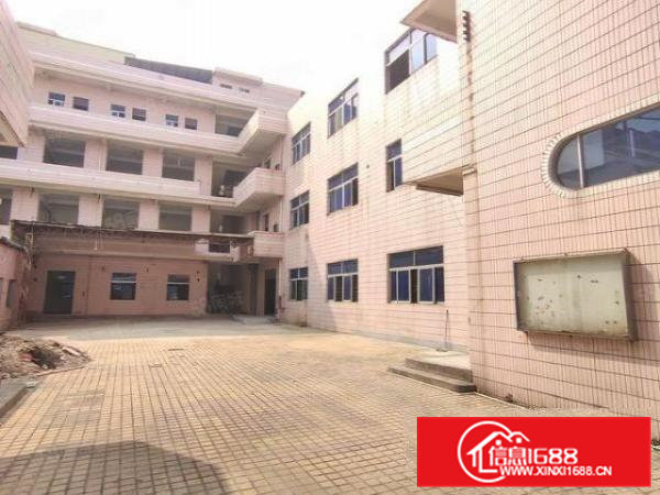 大朗标准经典小独院招租