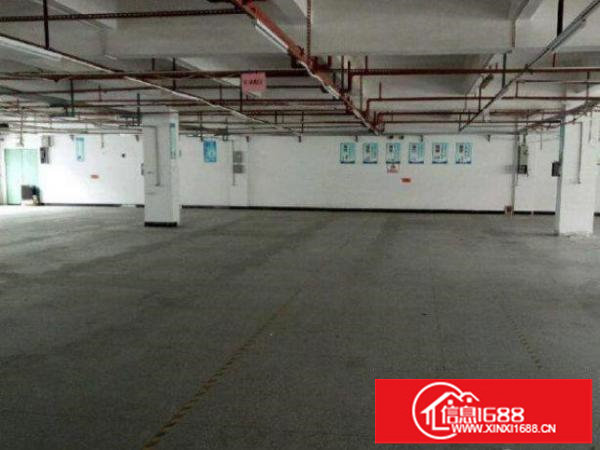 龙岗同乐有红本950平和1250平全新精装修，租1