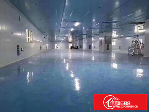 虎门原房东现成无尘车间1500平，证件齐全，可租可合作