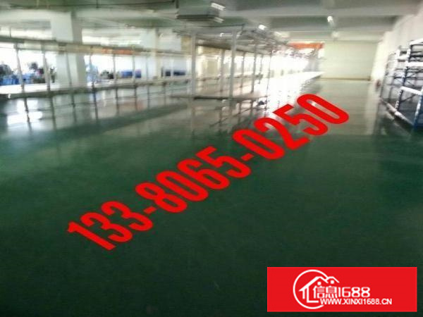 陈江一楼厂房700有装修