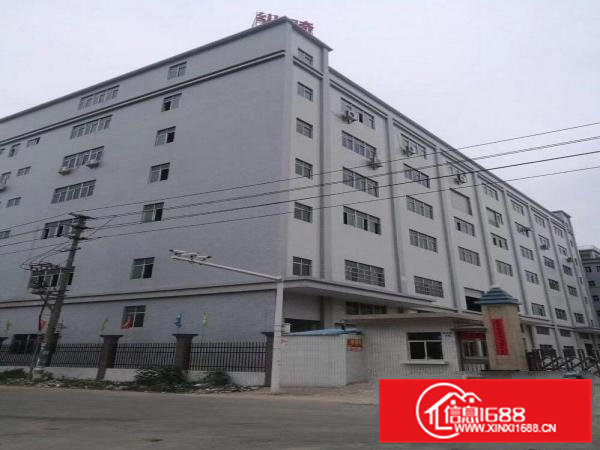 独门独院工业厂房出租