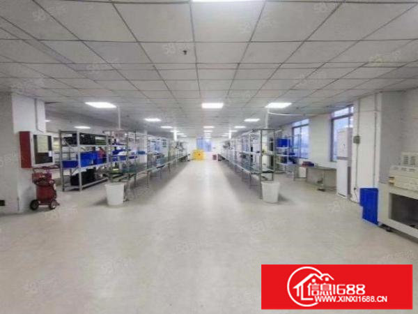 龙华大浪成熟园区整层厂房出租1200平带精装修