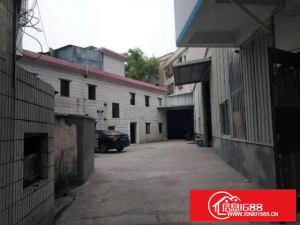 横沥镇原房东新出独门独院小厂房