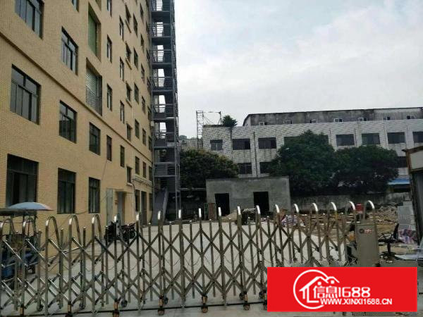 虎门南栅新出一全新独栋九层厂房7200平