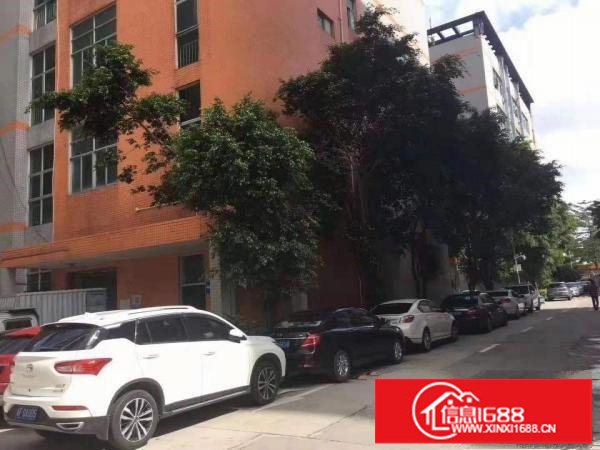 江灏工业园精装修厂房450平，电商办公仓库首选