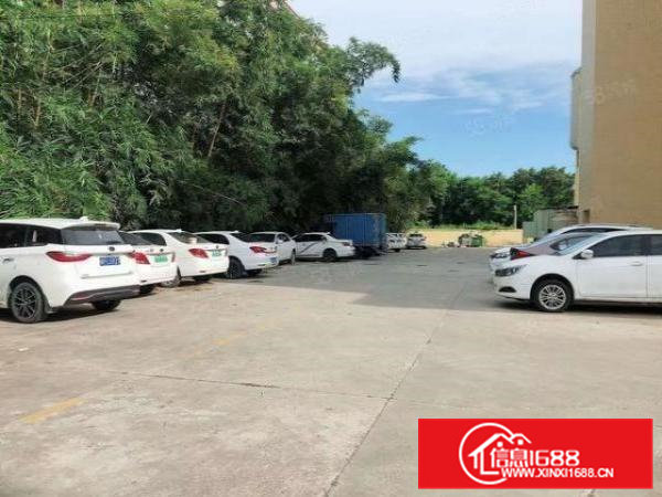 虎门新出花园式9500平高大上标准厂房