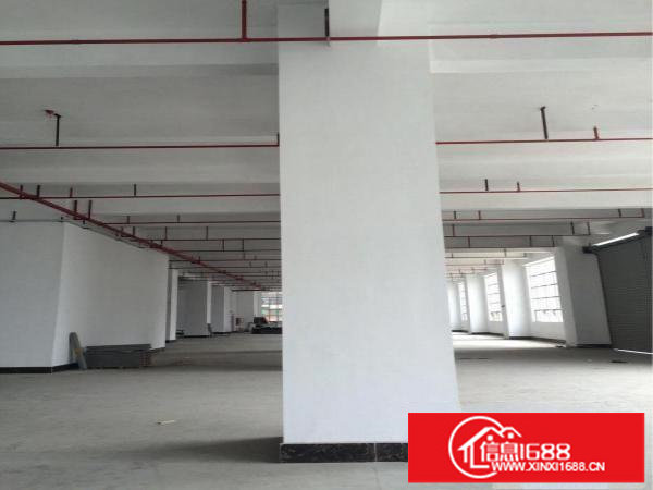 布吉李郎全新1000平到2258平