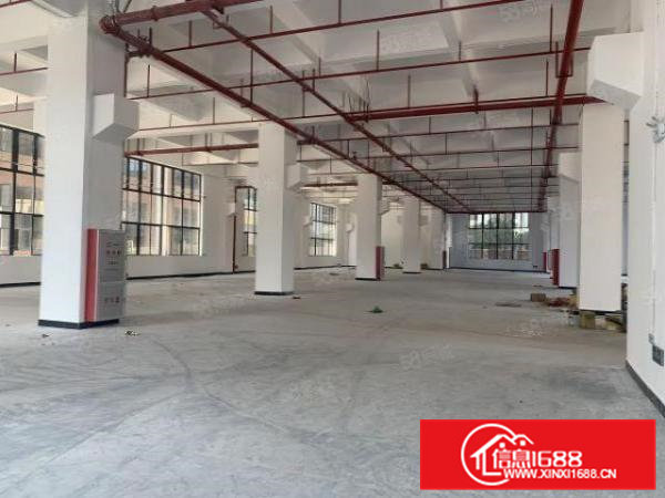 可分租全新独院厂房63000平方,500起分租,空地大形象好