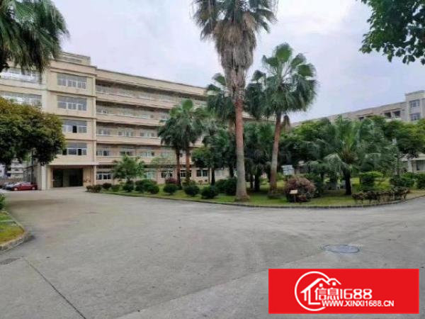 东坑镇原房东红本独院厂房4万方出租灵活分租大马路边