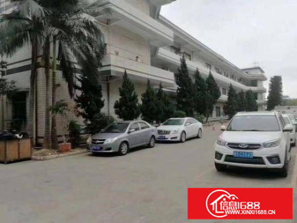 无尘车间清溪新出标准厂房3200平方