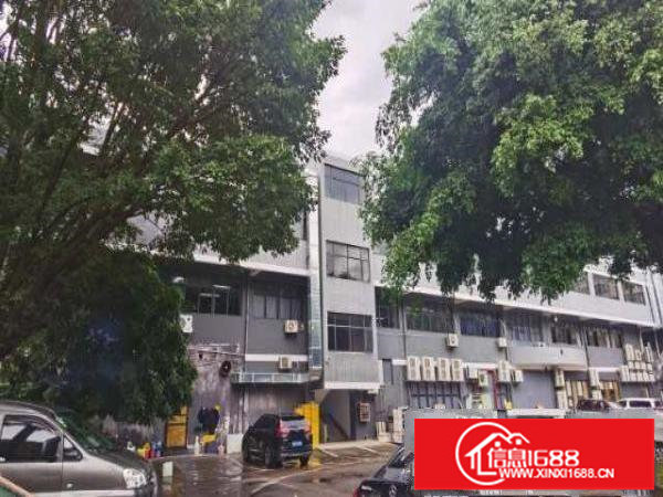 坪山坑梓新出超亮盘源