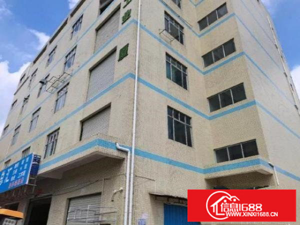 田寮光侨路边工业大厦出租