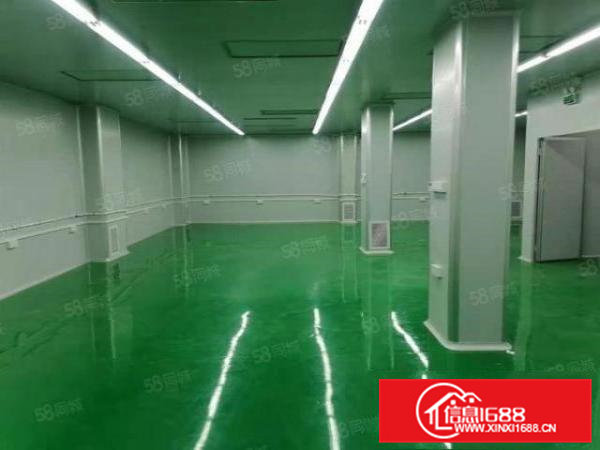 大岭山无尘车间450平方厂房出租，原房东小面积单一层精装修