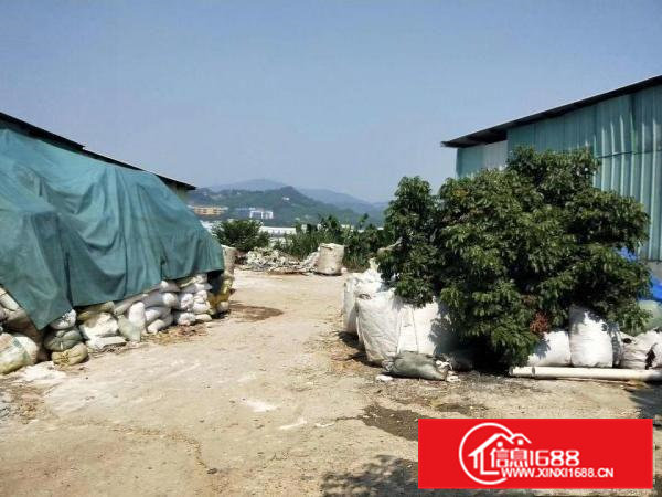 大岭山新出原房东300平铁皮小面积厂房出租,不限行业！