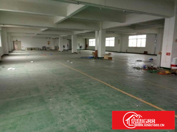 坪地坪西一楼6米高600平出租