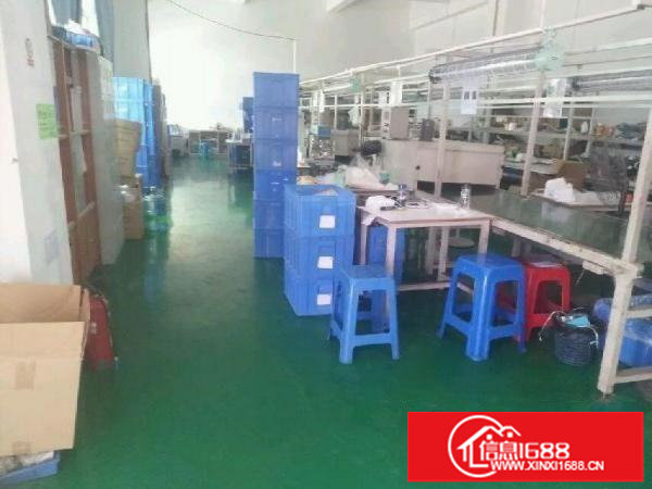 松岗广田路边塘下涌刚刚新出厂房1500平米招租