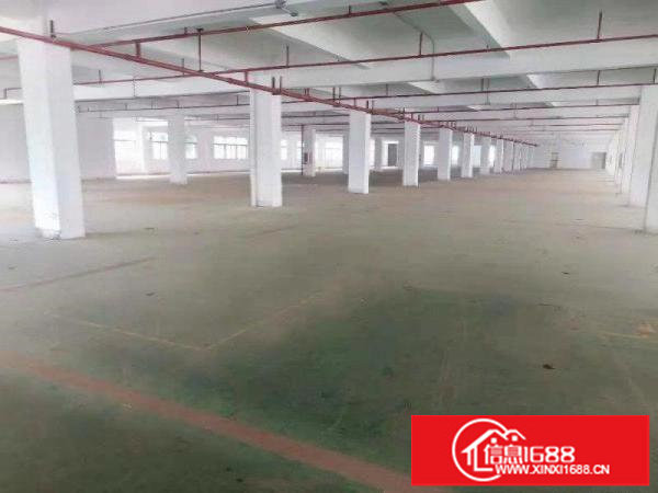 横岗原物业红本在手独门独院3000平出租