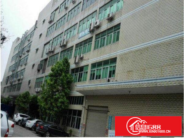 出租龙岗区坂田1000平带装修厂房