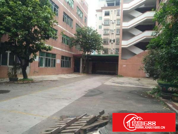 寮步原房东独院标准厂房1350出租，交通方便，面积足够无公摊