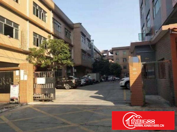 鸡啼岗独门独院一楼空出430平招租水电齐全带办公室