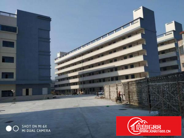 惠州市博罗县高新产业园全新标准厂房出租