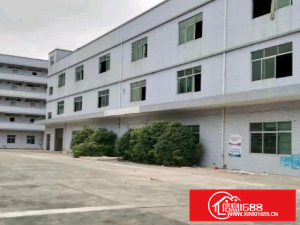 常平镇新出原房东厂房小独院7500平方