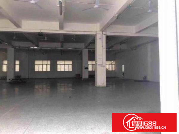 出租!坂田杨美五和雪象一楼二楼厂房仓库出租100-3000平