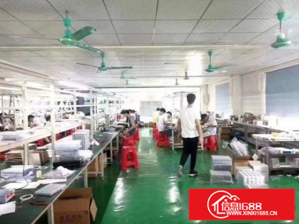 清溪新空出楼上650平方，边人流量大，好招工。