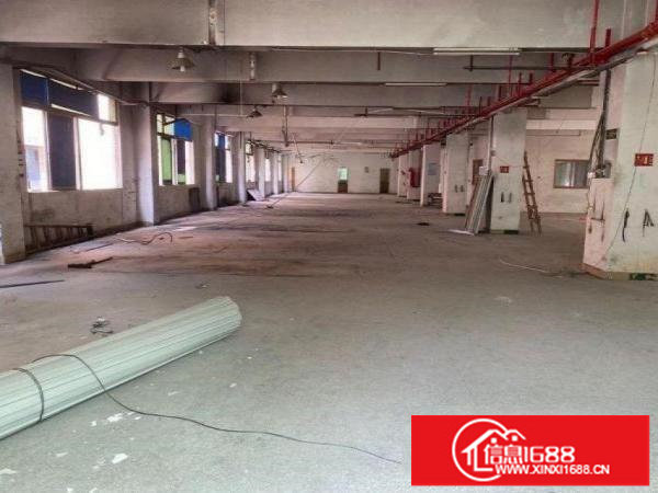 横岗旱塘村大型工业园区1500平方厂房出租适合电子