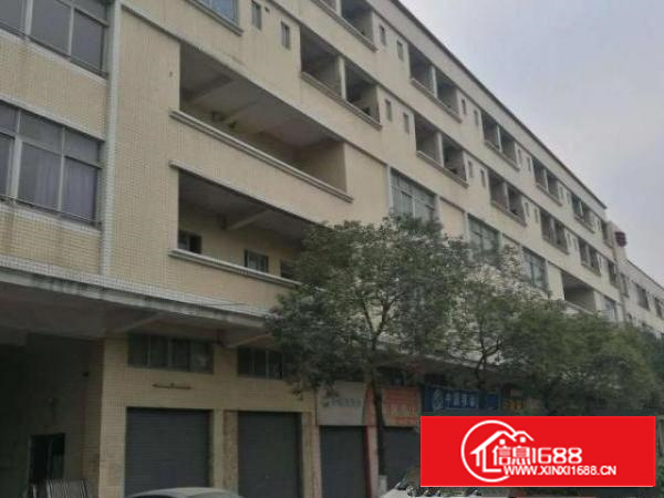 万江独院电子厂分租楼上500-----3000平方;有电梯