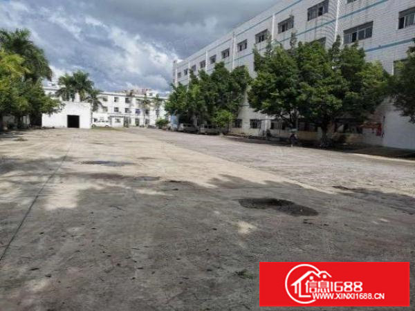 精装修水电齐全！坪地坪西北通道边新空1000平原房东厂房出租