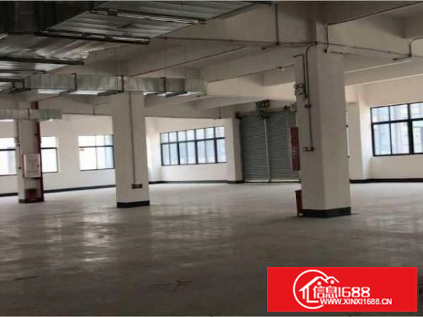 出租顺德区均安镇标准化新厂房