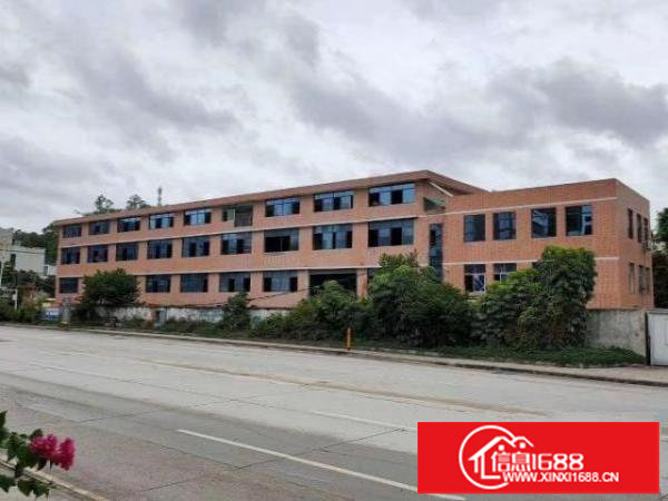 坂田小独栋火爆出租整栋四层6000平方招租整租，分租均可