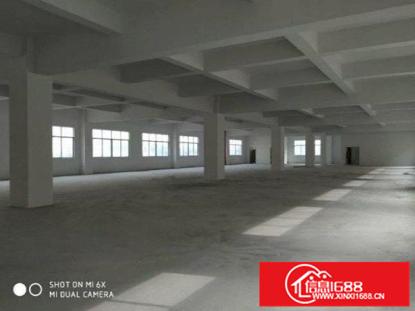 坂田环城北路边大型科技园1万平方红本厂房出租部分精装修