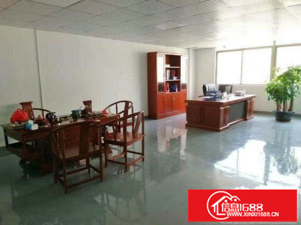 坪地坪西新出三楼带电梯500平起租（送装修招租）